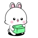Lovely Rabbit 16 MOV. 1