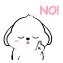 Lovely White Dog 6 .MOV 1
