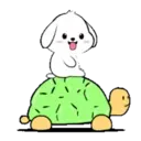 Lovely White Dog 6 .MOV 24