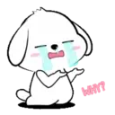 Lovely White Dog 7 .MOV 15