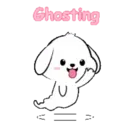 Lovely White Dog 7 .MOV 21