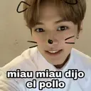 miau miau dijo
el pollo