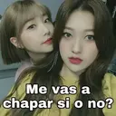 www
AVISA
Me vas a
chapar si o no?