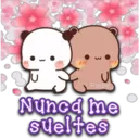 11
3
Persy
Nuned me
sueltes