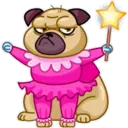 Perros 29