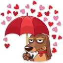 Perros 25
