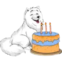 Perros 13