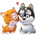 Perros 9