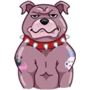 Perros 4