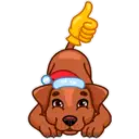 Perros 14