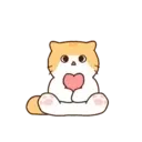 Gatito lindo mov 5