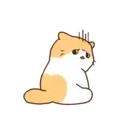 Gatito lindo mov 8