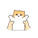 Gatito lindo mov 7