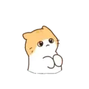 Gatito lindo mov 18