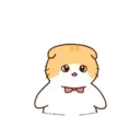 Gatito lindo mov 24