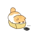 Gatito lindo mov 3