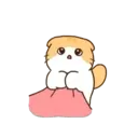 Gatito lindo mov 15