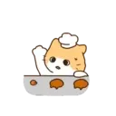 Gatito lindo mov 16