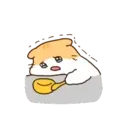 Gatito lindo mov 21