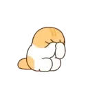Gatito lindo mov 19