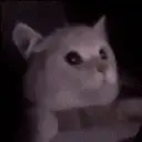Reaction 5 2