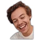 Harry Styles 11