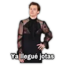 Yallegué jotas