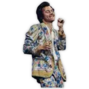 Harry Styles 24