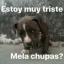 Estoy muy triste
Mela chupas?