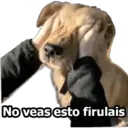 No veas esto firulais