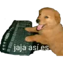 jaja así es