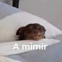 A mimir