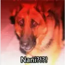 Nanik!?!