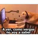ndentorubius
A ver, como vergas
no voy a saber