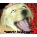 Yamete kudasai!!!!
050