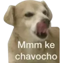 Mmm ke
chavocho