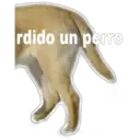 rdido un perro