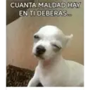 CUANTA MALDAD HAY
EN TI DEBERAS.