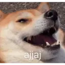 ajjaj