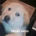 Modo serio