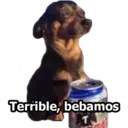Terrible, bebamos