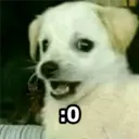 AMALITOS
80