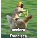acelera
Francisca