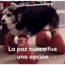 La paz nunca fue
una opción