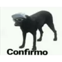 Confirmo