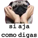 @V3RO_V RONI
si aja
como digas