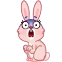 Mia Bunny 6