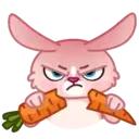Mia Bunny 23