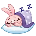 Mia Bunny 24