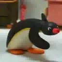 Pingüinos 28